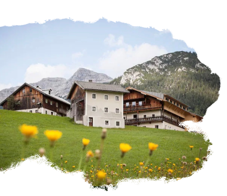 Mesnerhof C Tirol